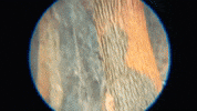 Spying Music Video GIF by Vundabar