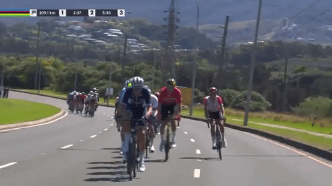 spencermartin1c3d giphygifmaker GIF