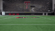 Trey Wolff GIF by Texas Tech Football