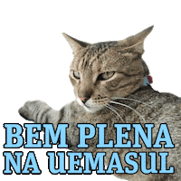 Cat Mood Sticker by UEMASUL