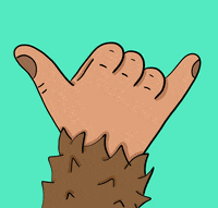 Shaka Hang Loose GIF by Shredding Sassy