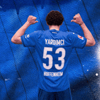 Sport Bundesliga GIF by TSG Hoffenheim