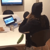 man cucumber GIF