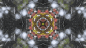Art Film GIF by jorgemariozuleta