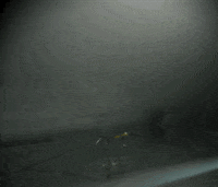 water robot GIF by Harvard University