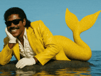 Awkward What The GIF by Jukebox Saints