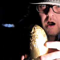 GIF by Brittlestar