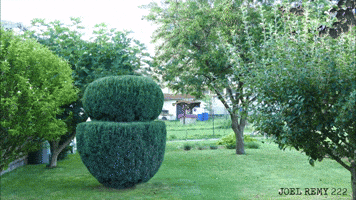 My father garden