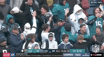 National Football League GIF by NFL