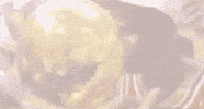Cry Pray GIF