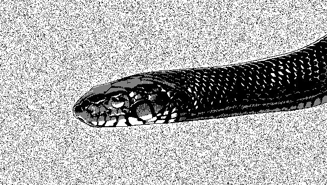 music video animation GIF by mattisdovier