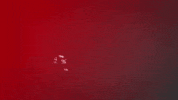 GIF by Carolina Mudcats Baseball