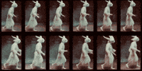 Rabbit Grid GIF by erica shires