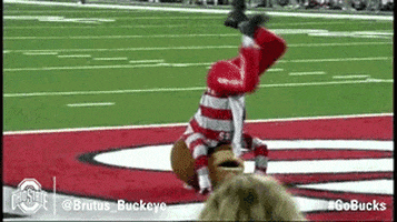 Ohio State Sport GIF by Ohio State Athletics