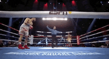 toprank fight boxing fighting espn GIF
