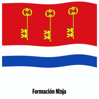 Flag Spain GIF by Formación Ninja