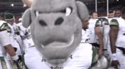Usf Football Kiss GIF by USF Athletics
