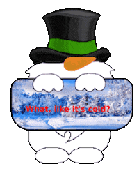 Winter Snowman Sticker