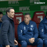 fcbayern football soccer bundesliga futbol GIF