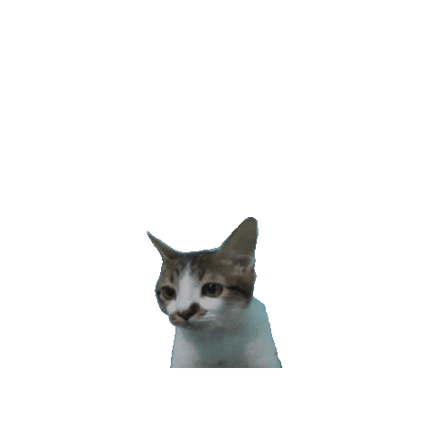 Cat Waiting Sticker by Ben L