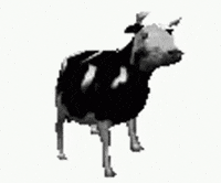 Dance Cow GIF