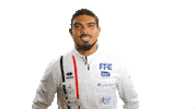 ffescrimeofficiel france v victory champion Sticker