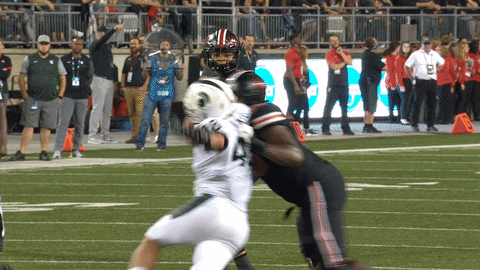 Ohio State Touchdown GIF by Ohio State Athletics