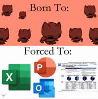 Cat Bop GIF