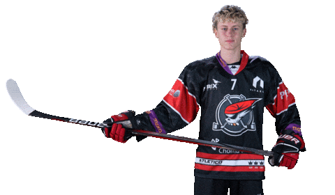 Hokej Sticker by Piráti Chomutov