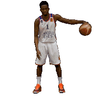 Anadolu Efes Sticker by Türkiye Basketbol Federasyonu