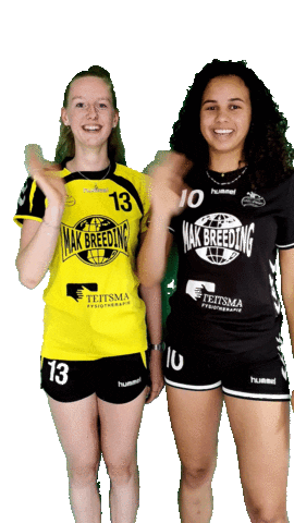 HVGeelZwart giphyupload handbal geelzwart geel-zwart Sticker