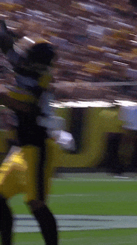 Nfl Rushing GIF by Pittsburgh Steelers