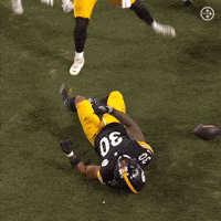 Excited Celebration GIF by Pittsburgh Steelers