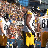 Celebration Nfl GIF by Pittsburgh Steelers