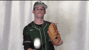 Collegebaseball Ncaadii GIF by RiverHawk Sports
