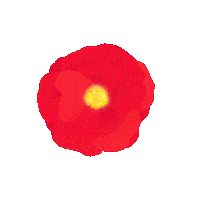 Flower Spring Sticker