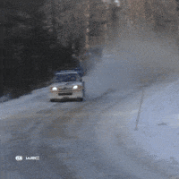 On My Way Wow GIF by FIA World Rally Championship