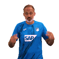 Sport Bundesliga Sticker by TSG Hoffenheim