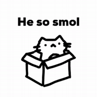 Cat GIF