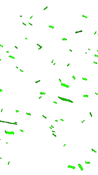 Carnaval Confetti Sticker by B on Stage