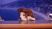 Conan Obrien GIF by Team Coco