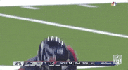 2019 Nfl Football GIF by NFL