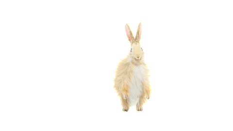 Happy Dance Sticker by OTTOKE MEDIA