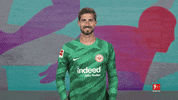Eintracht Frankfurt Applause GIF by Bundesliga