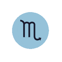 Zodiac Sign Water Sticker by Sanctuary