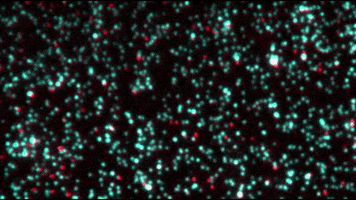 dna GIF by Harvard Medical School
