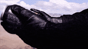 blackplaguebrewing craft beer beer cans beer pour black plague GIF