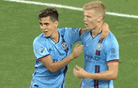 Black Panther Nyc GIF by Major League Soccer