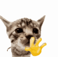 Cat Waving GIF
