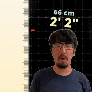 2' 2"